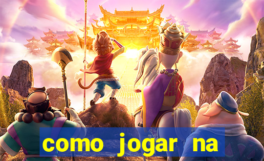 como jogar na seninha online